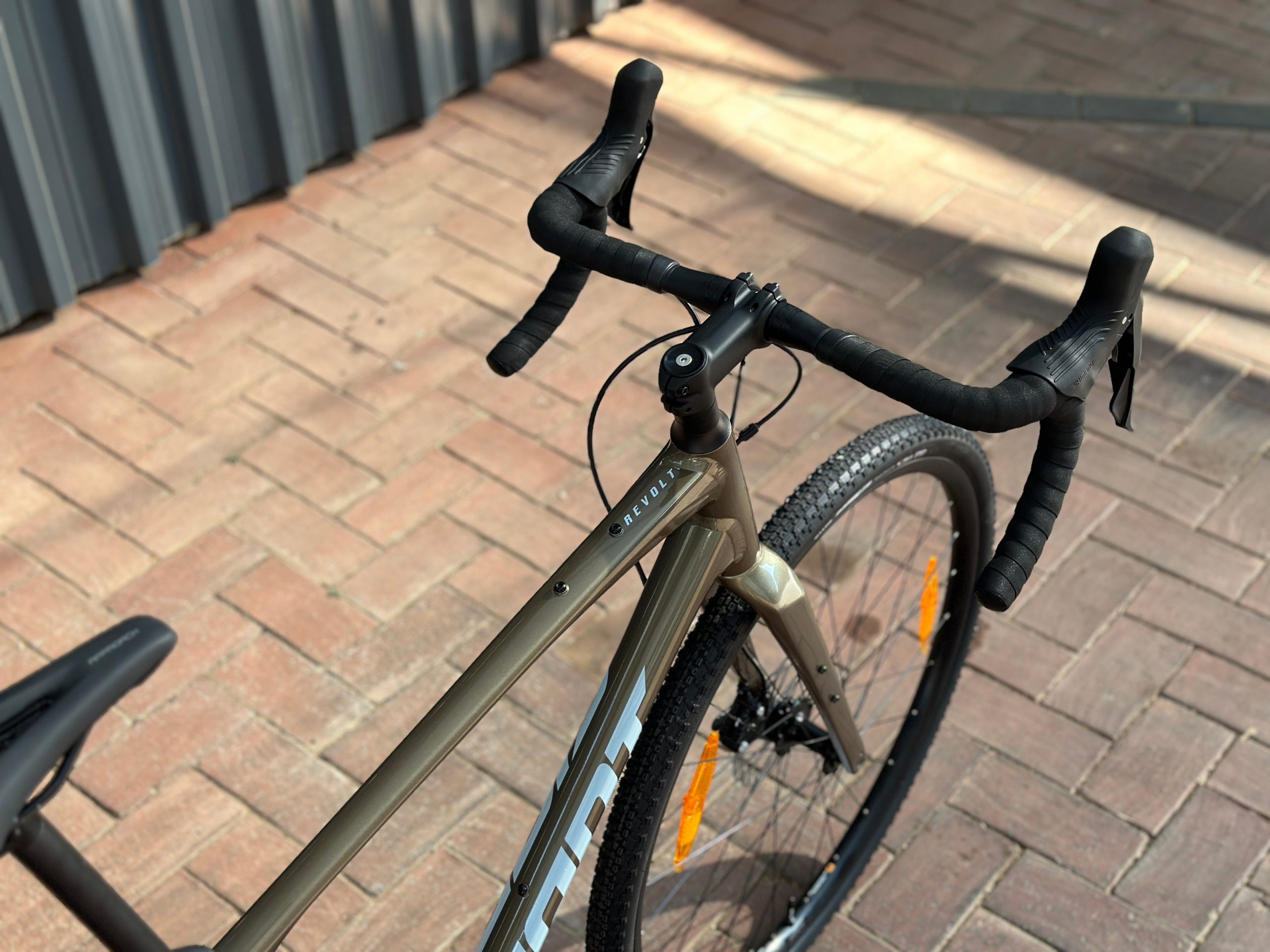 Giant Revolt 0 (2024) - Image 6