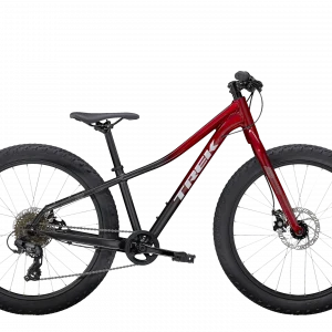 Roscoe 24 inch mountain bike