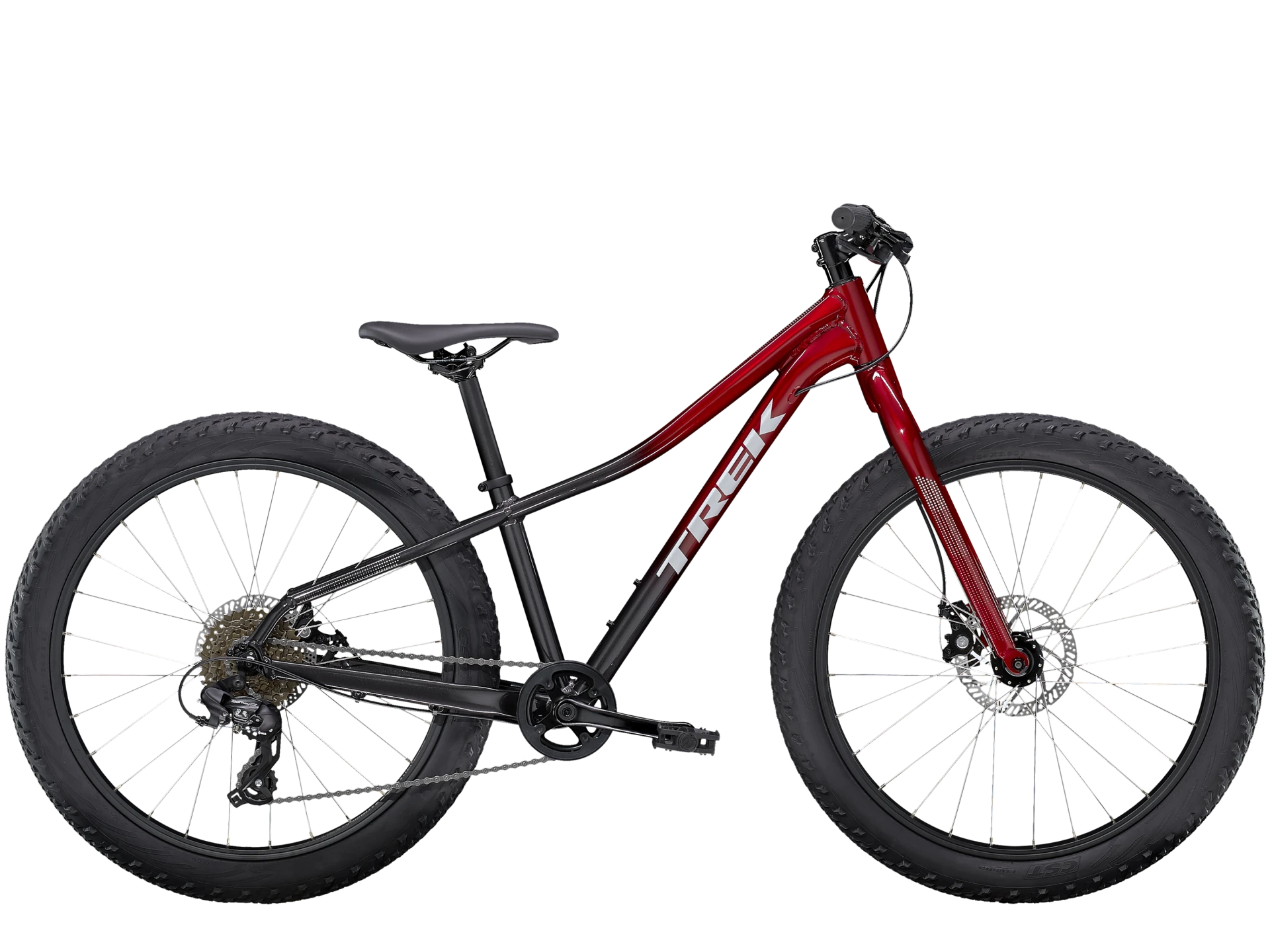 Roscoe 24 inch mountain bike