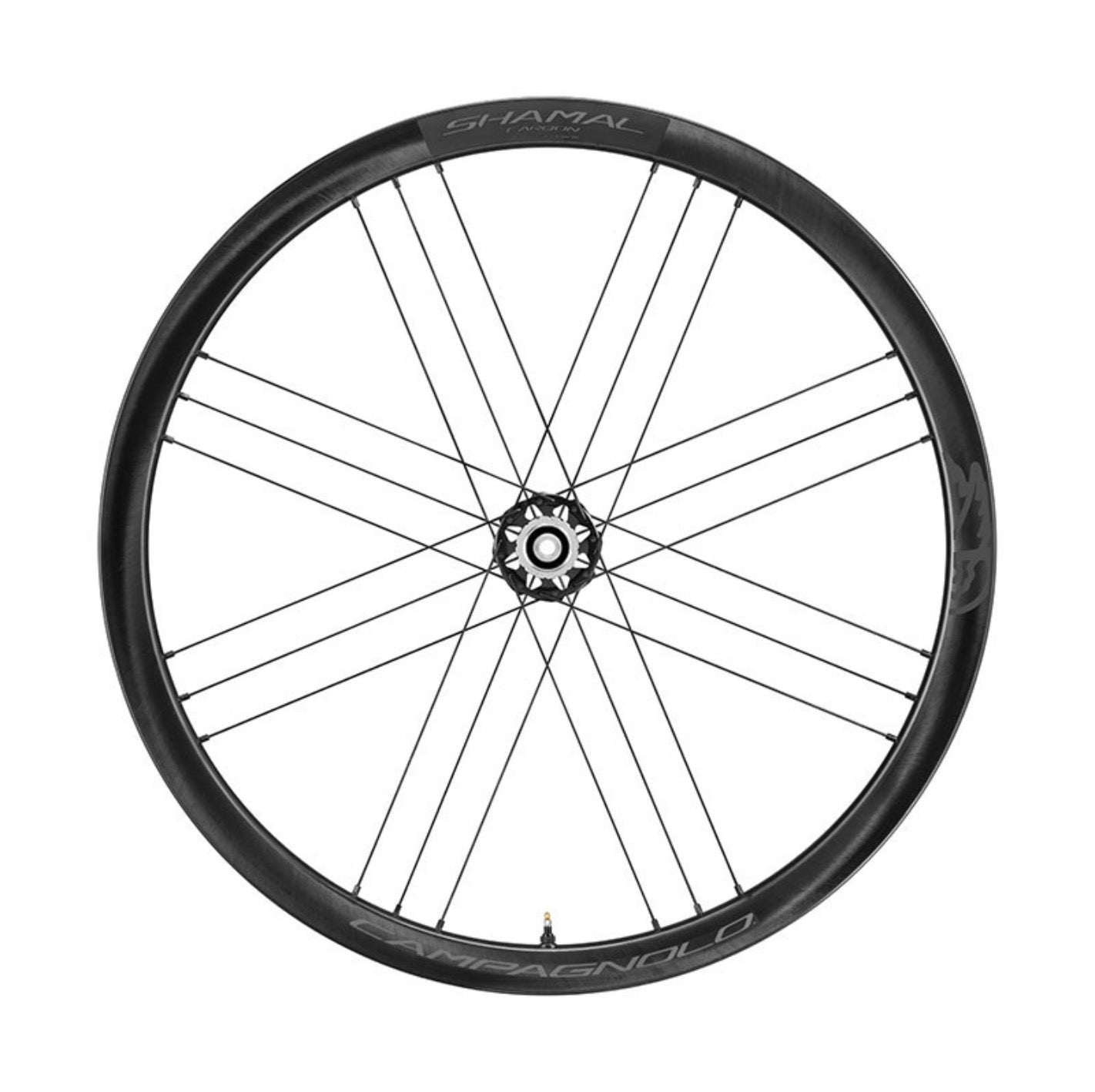 Campagnolo Shamal Carbon Disc Brake