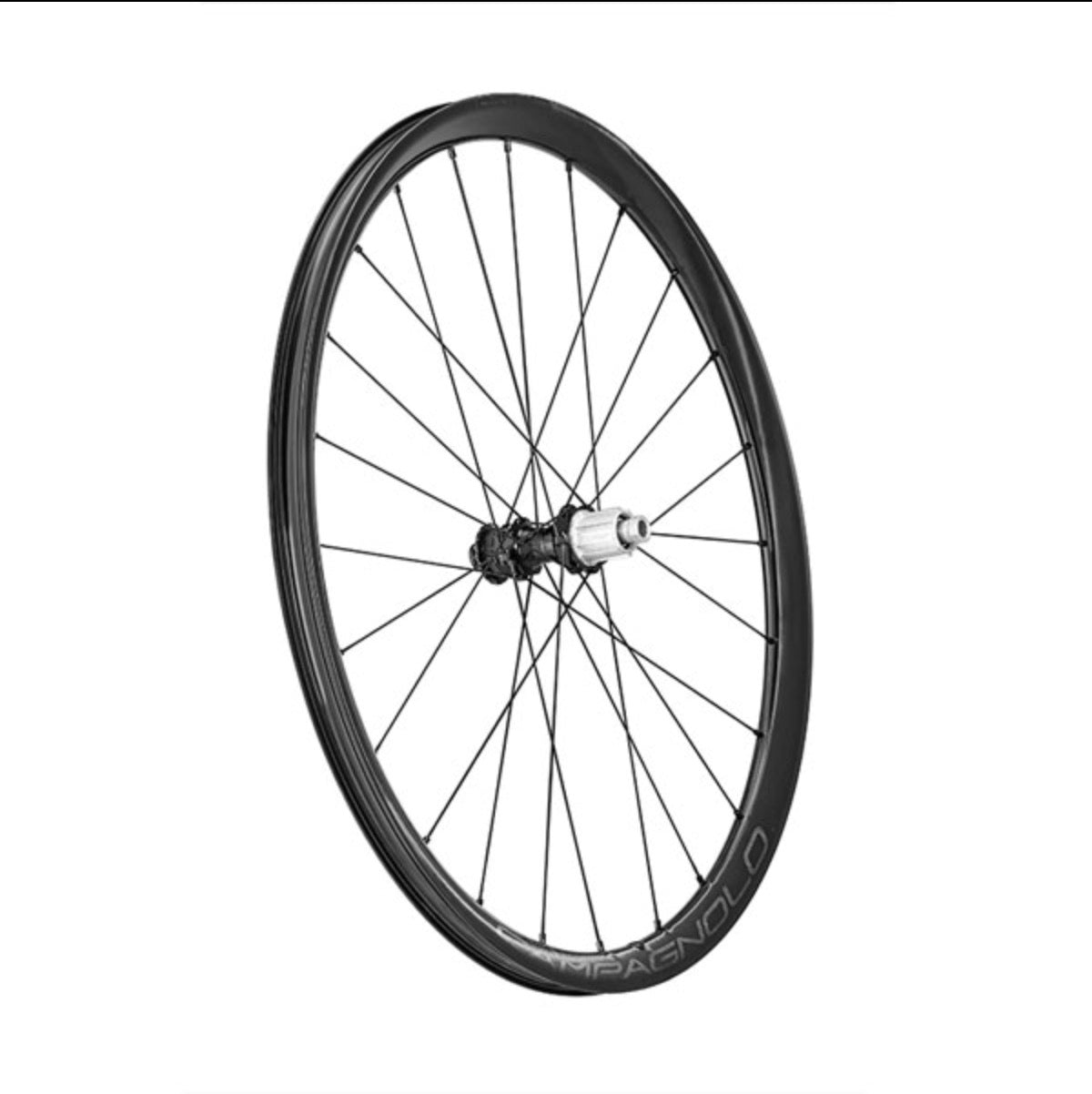 Campagnolo Levante Carbon Gravel Wheelset view 2